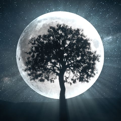 Moon Sign – Cung Mặt Trăng là gì? Giải thích Cách Xem 12 Cung Mặt Trăng trong Zodiac